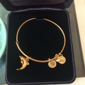 Dolphin alex and ani bangle